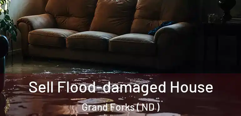  Sell Flood-damaged House Grand Forks ( ND )